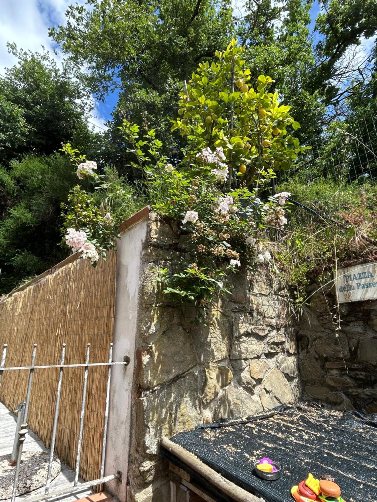 Vacanze Toscane Relax Privacy * San Baronto